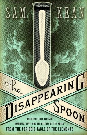 THE-DISAPPEARING-SPOON-300x465